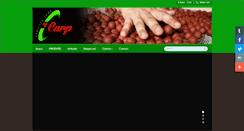 Desktop Screenshot of 4carp.ro